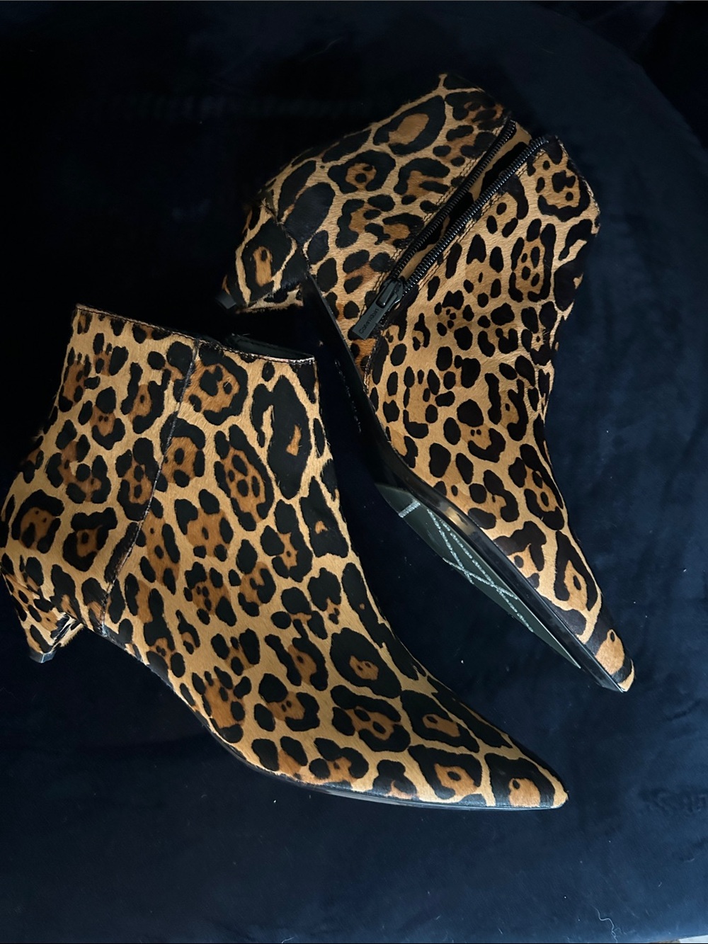 Calvin Klein Leopard Print Pointed Ankle Booties - Tan & Black